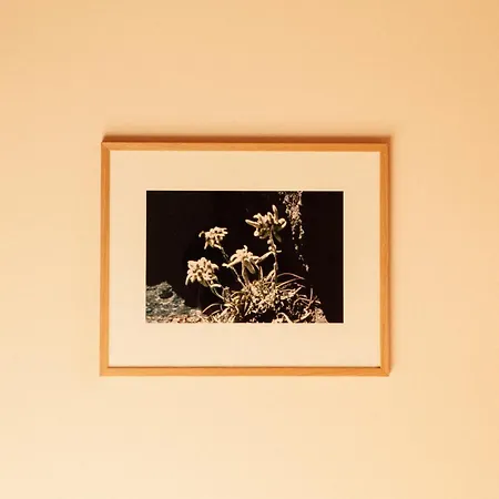 Tanafreida Berg-refugium アパート *